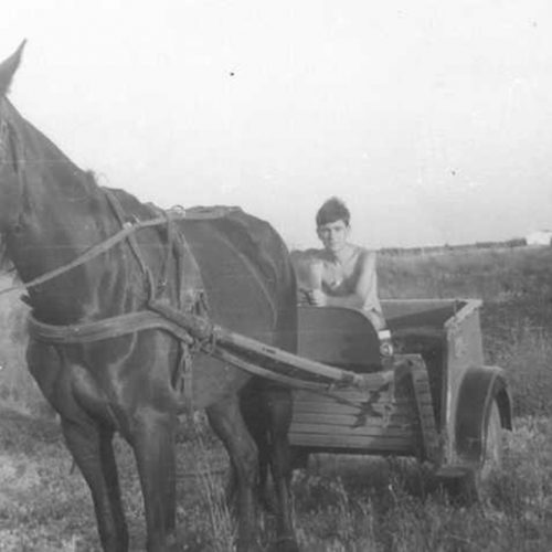 Yegua negra con Cabriolé Mallorquín en Morante