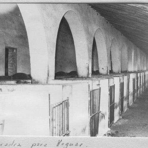 Cuadras para mulas Morante, años 50