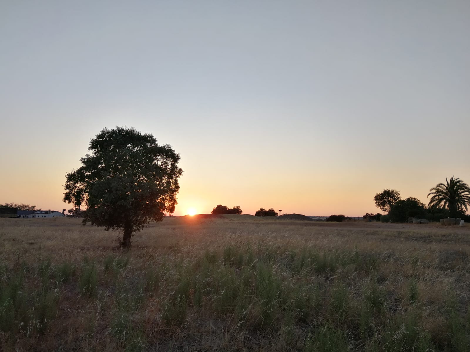 La puesta de sol de JdM me inspira ¡Amor en el Campo Extremeño!
